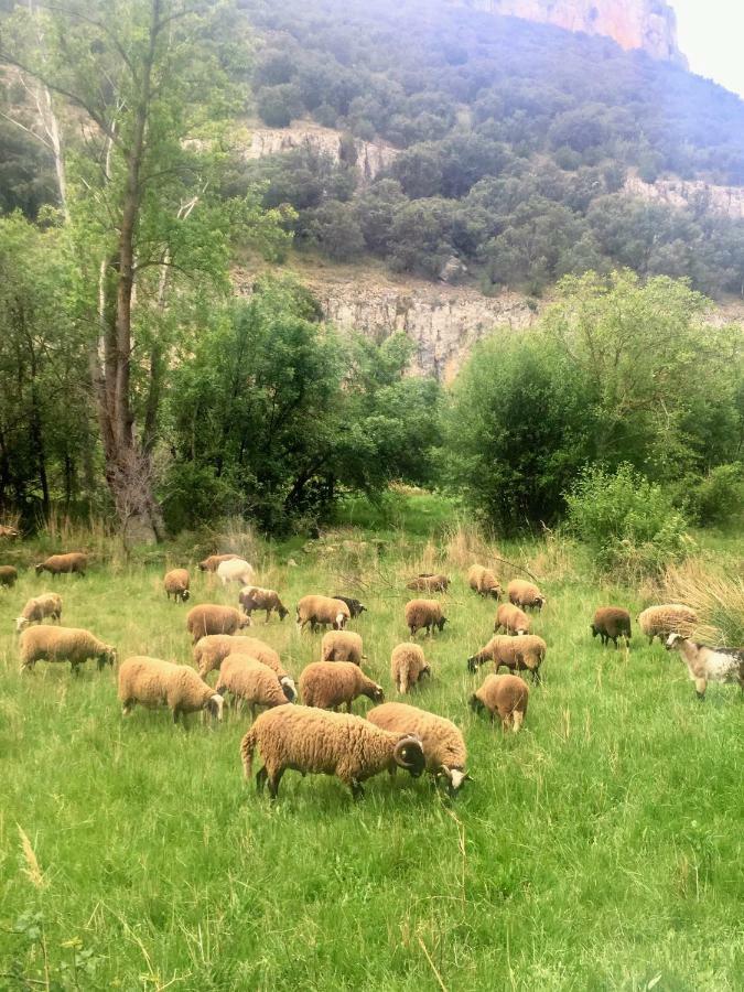 Apartamento Rural La Cascada De Calmarza Eksteriør bilde