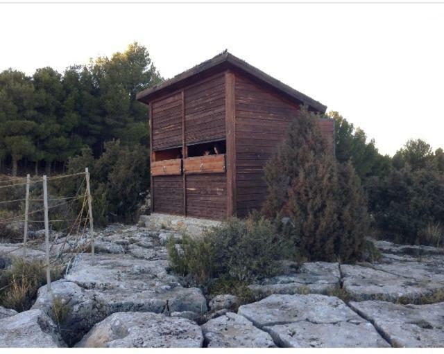 Apartamento Rural La Cascada De Calmarza Eksteriør bilde